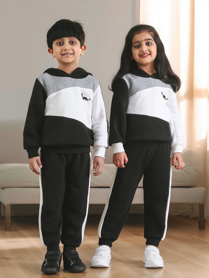 Black Panel Dinosaur Printed Kids Winter Suit (Each)